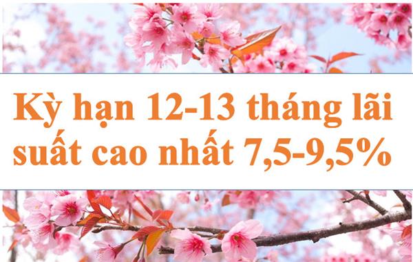 Lãi suất ngân hàng hôm nay 10.7: Kỳ hạn 12-13 tháng cao nhất 7,5-9,5%