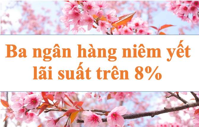 Lãi suất ngân hàng hôm nay 9.7: Ba ngân hàng niêm yết lãi suất trên 8%